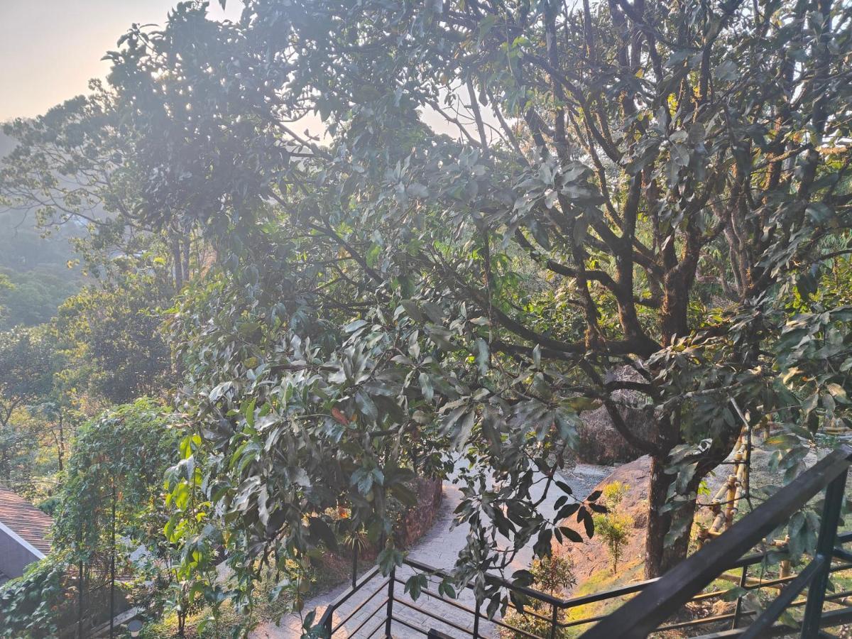 The Wild Trails Clarks Exotica , Munnar Otel Dış mekan fotoğraf